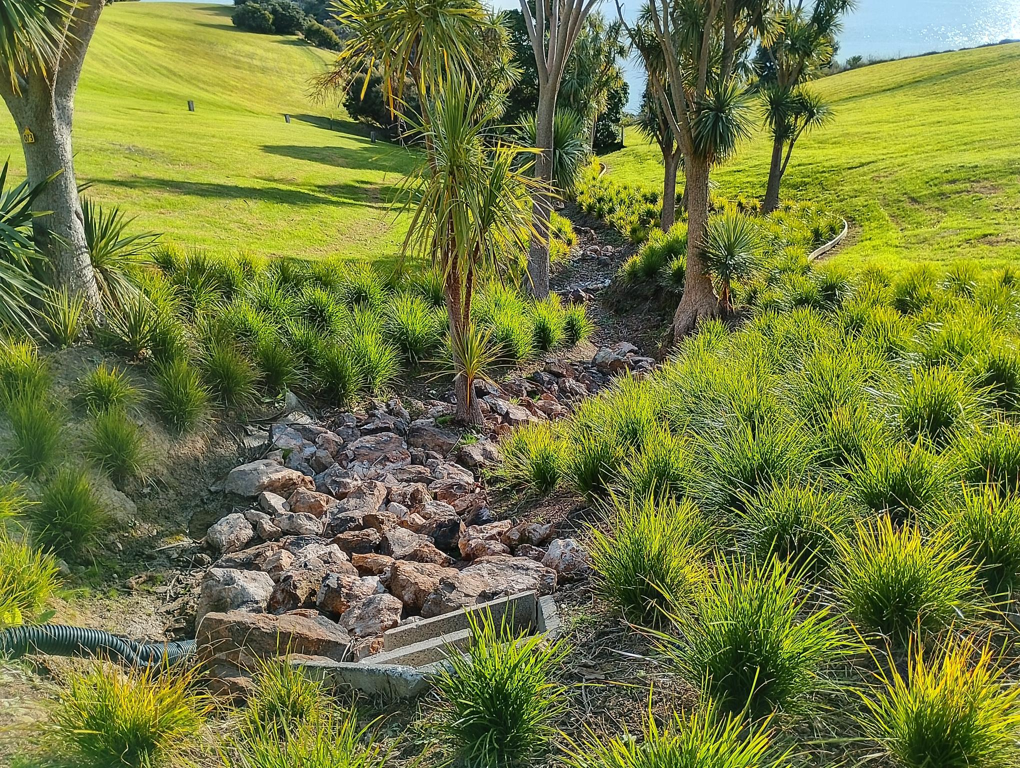 Rock-lined garden bed with new native planting on a hillside
